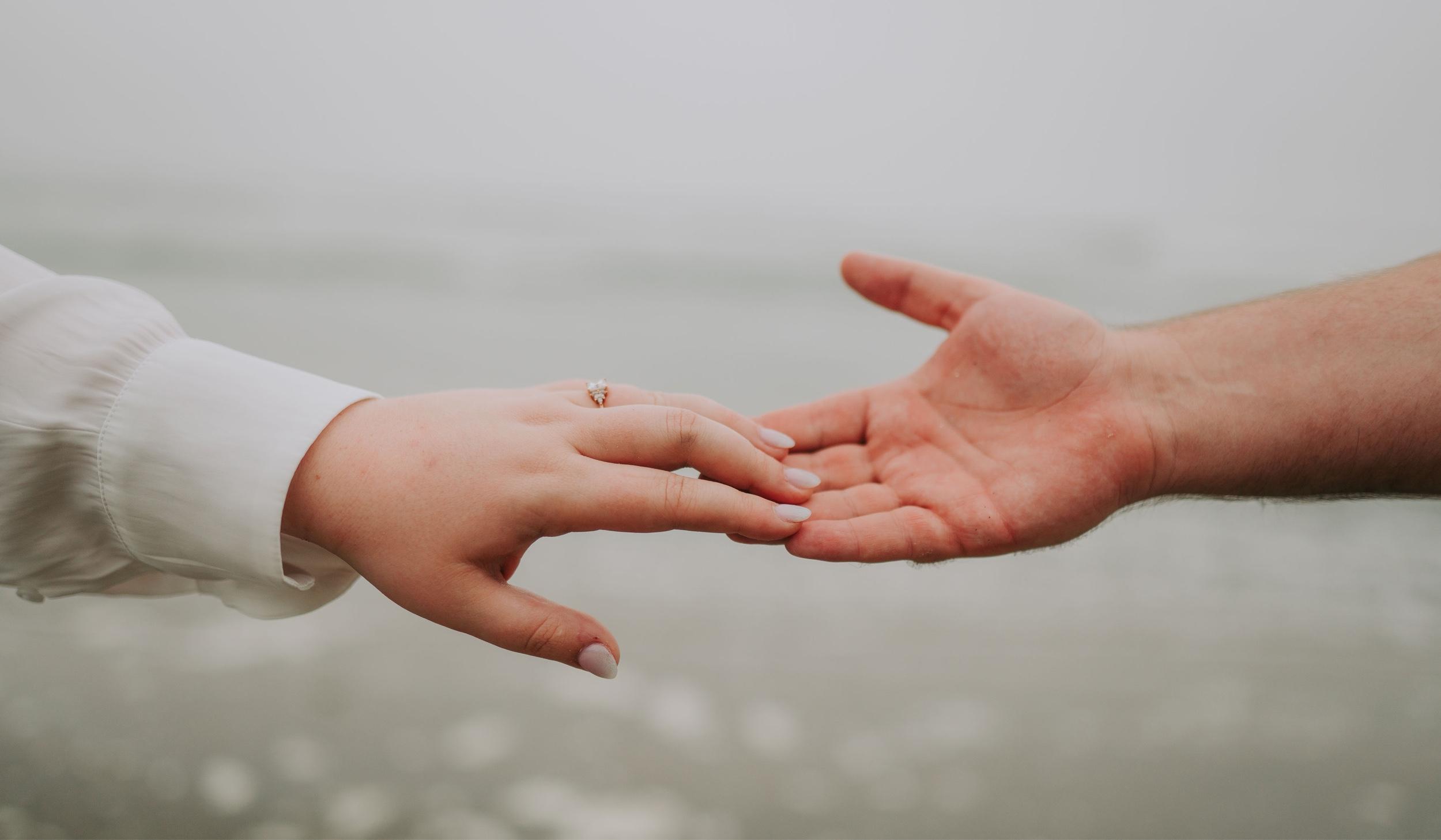 The Wedding Website of Montessa J. Horning and Andrew C. S. Hardisty