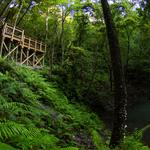 Devil's Millhopper Geological State Park