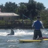 Paddleboard New Smyrna Beach