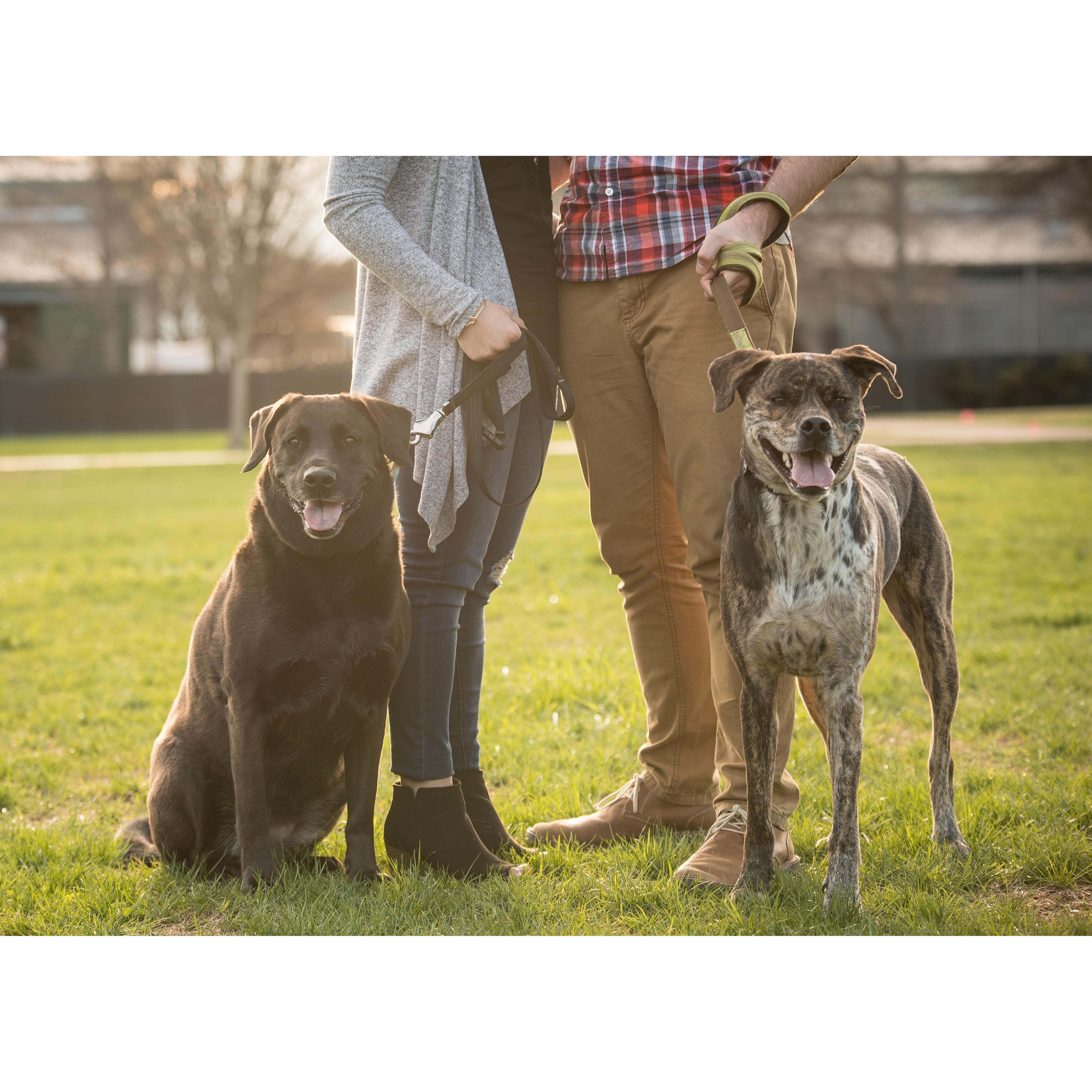 Our fur babies
