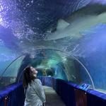 Greater Cleveland Aquarium