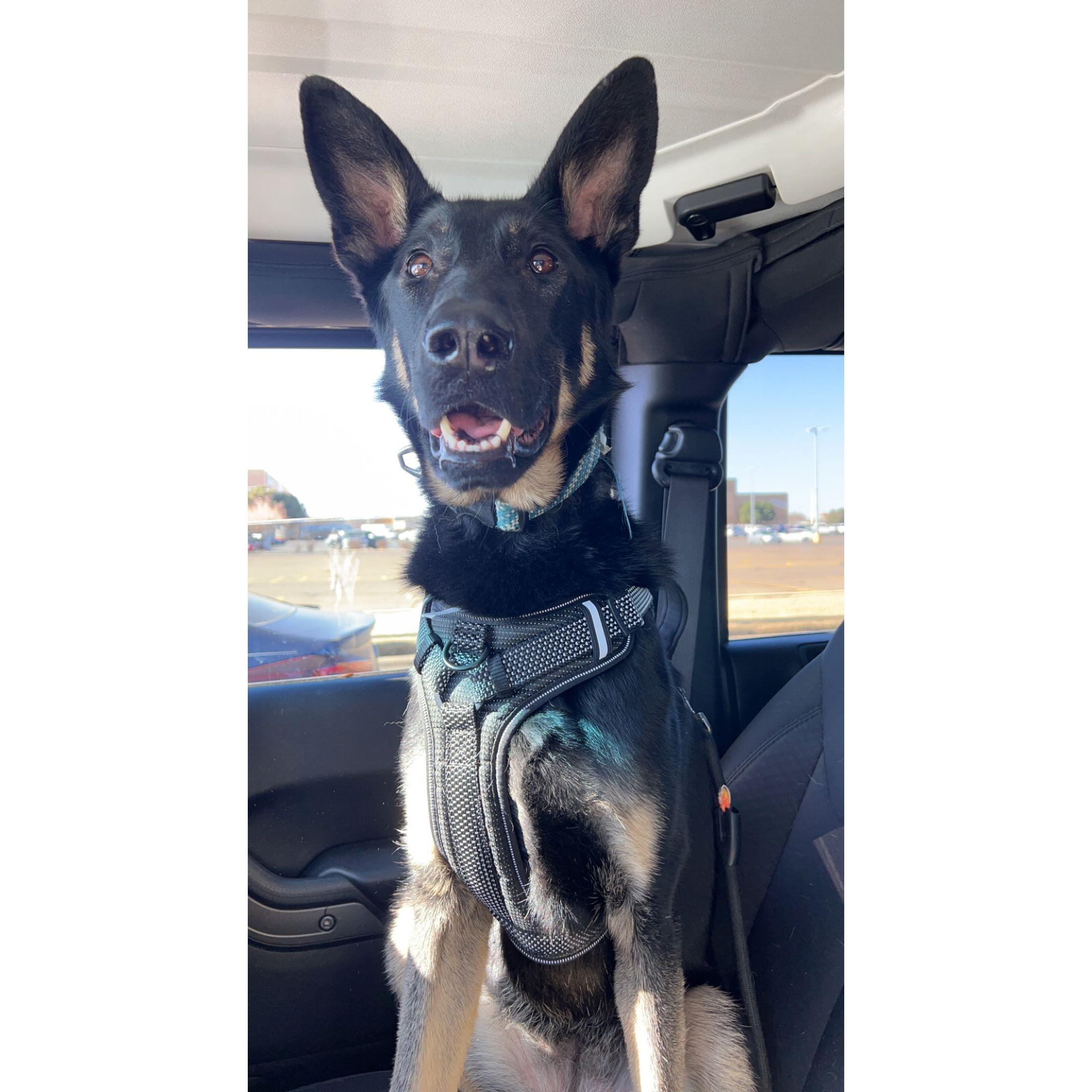 Miss Amara