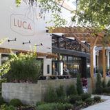 LUCA