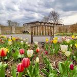 The Botanic Garden at Historic Barns Park