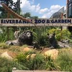Riverbanks Zoo & Garden