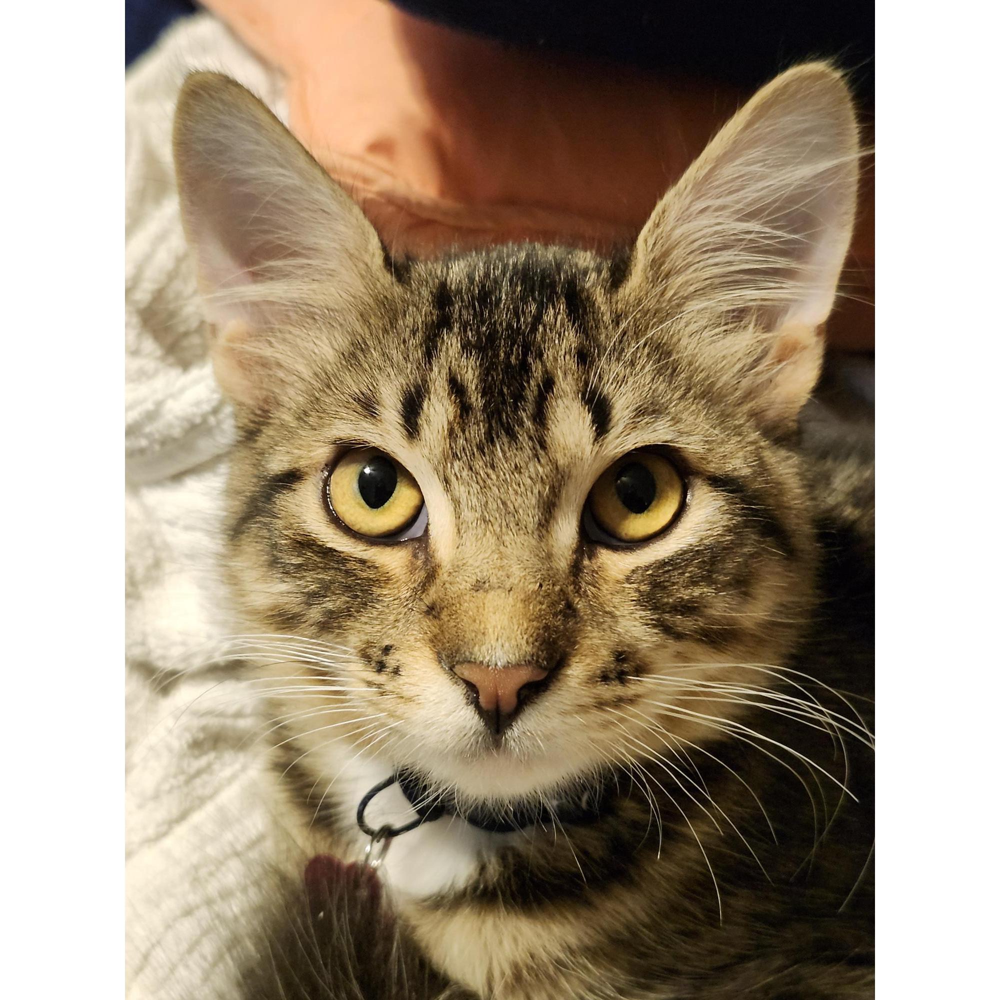 Our brooding teenager, DJ
