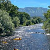 Tube or Fly Fish the Yampa River