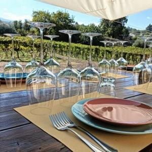 Mt. Etna Jeep Tour + Wine Tasting
