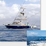 Deep Sea Fishing ~ Half Day