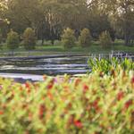 Houston Botanic Garden