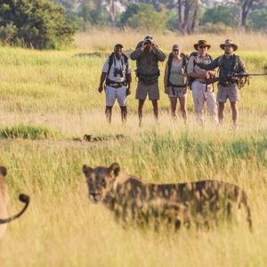 Walking Okavango Delta Tour