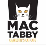 Mac Tabby Cat Cafe