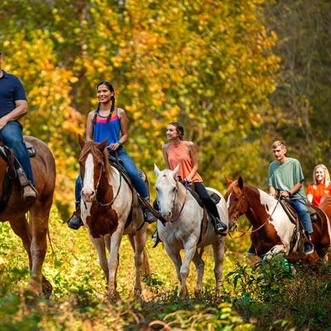 Horseback Riding for 2 On Our Honeymoon