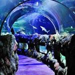 SEA LIFE Kansas City