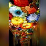 Oklahoma City Museum of Art