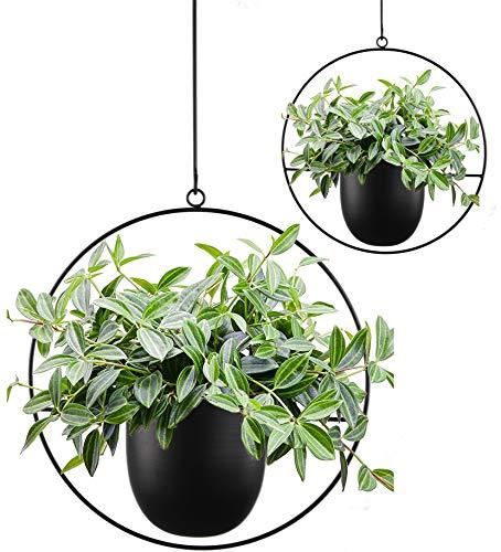Abetree 2 Pcs Boho Metal Hanging Planters for Indoor Plants with Hooks Modern Wall and Ceiling Planter Mid Century Minimalist Flower Pot Hold Planter for Outdoor Plants Home Decor(Black)