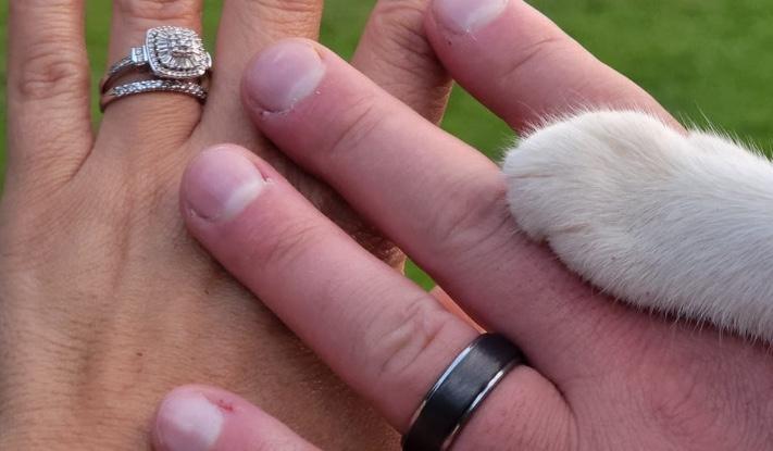 e7a57662-a806-4870-8645-53b731185c29