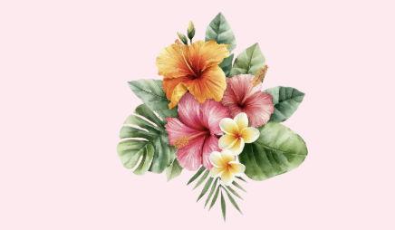 Footer image