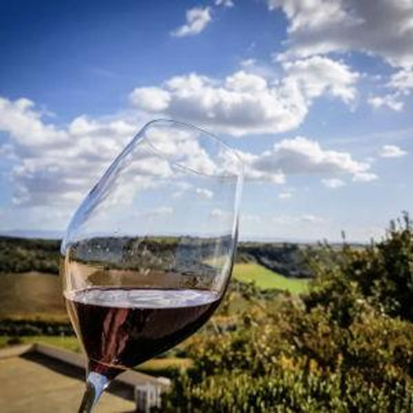 Etna Wine Tasting & Vineyard Tour in Taormina