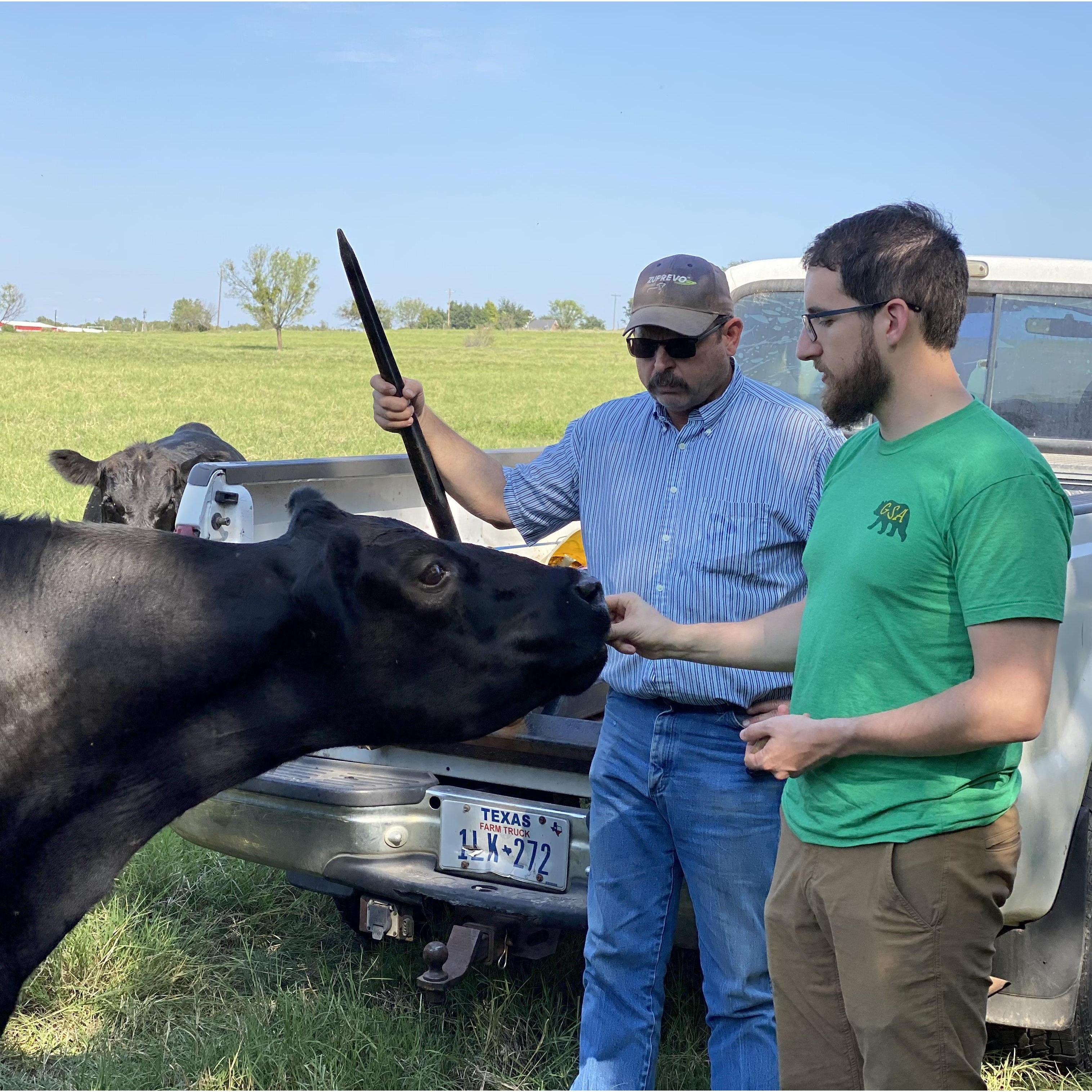 Luke honing his cattle ranching skills with Katie's dad, Kelley.
