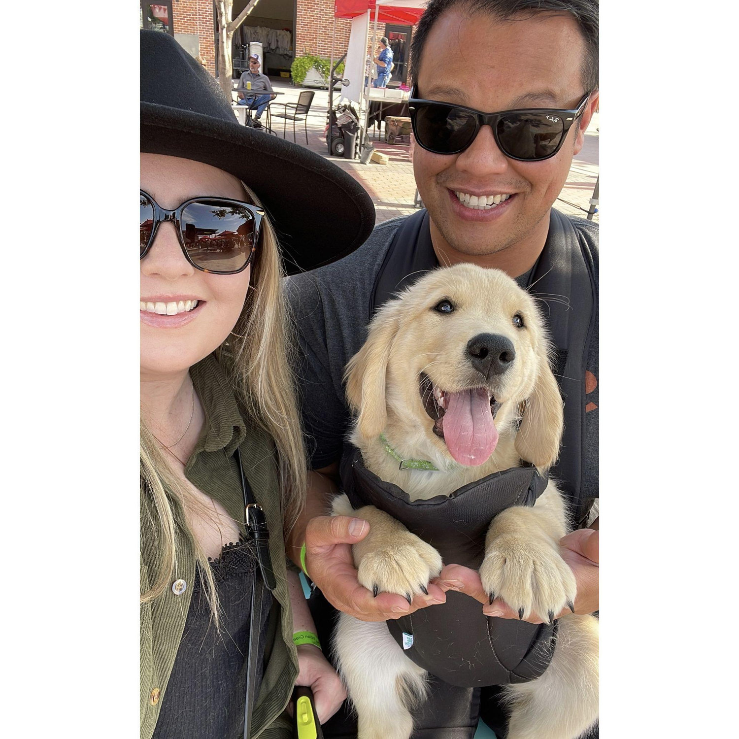 outing with Dutch as a puppy!