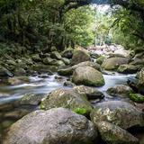 Mossman Gorge