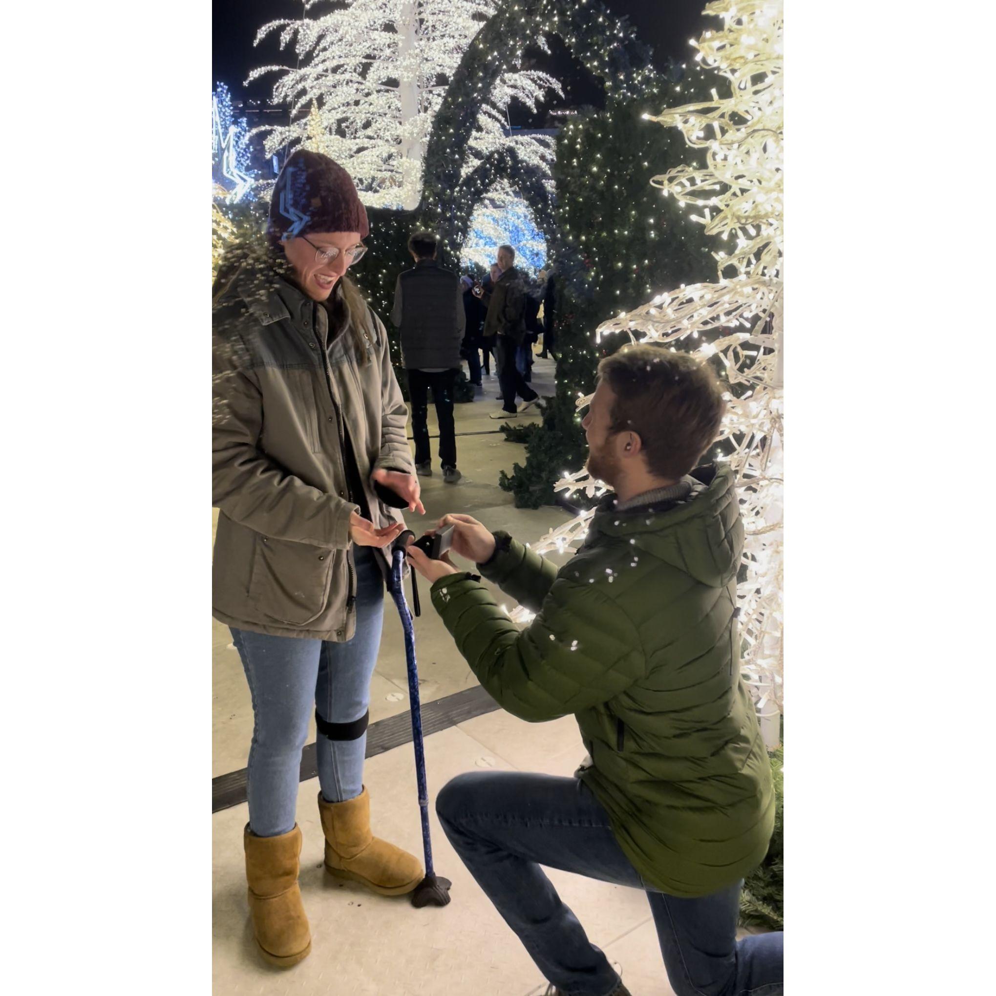 This was the moment that Brendan surprised Meghan on their two-year dating anniversary with a proposal! They got engaged during Winter Lights at Nationals Park on 12/17/2022. Best day ever!
