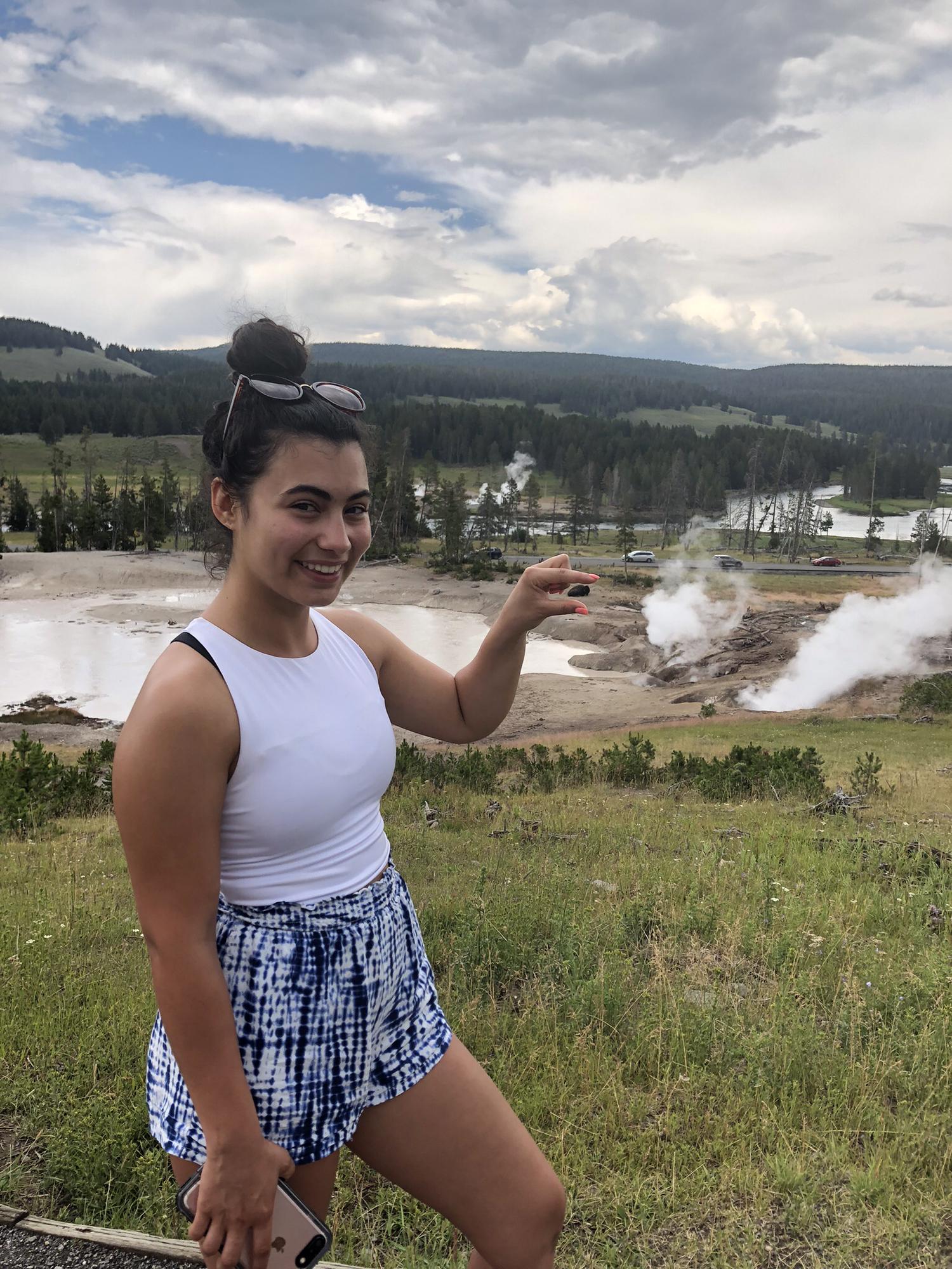 Yellowstone bison, 2019