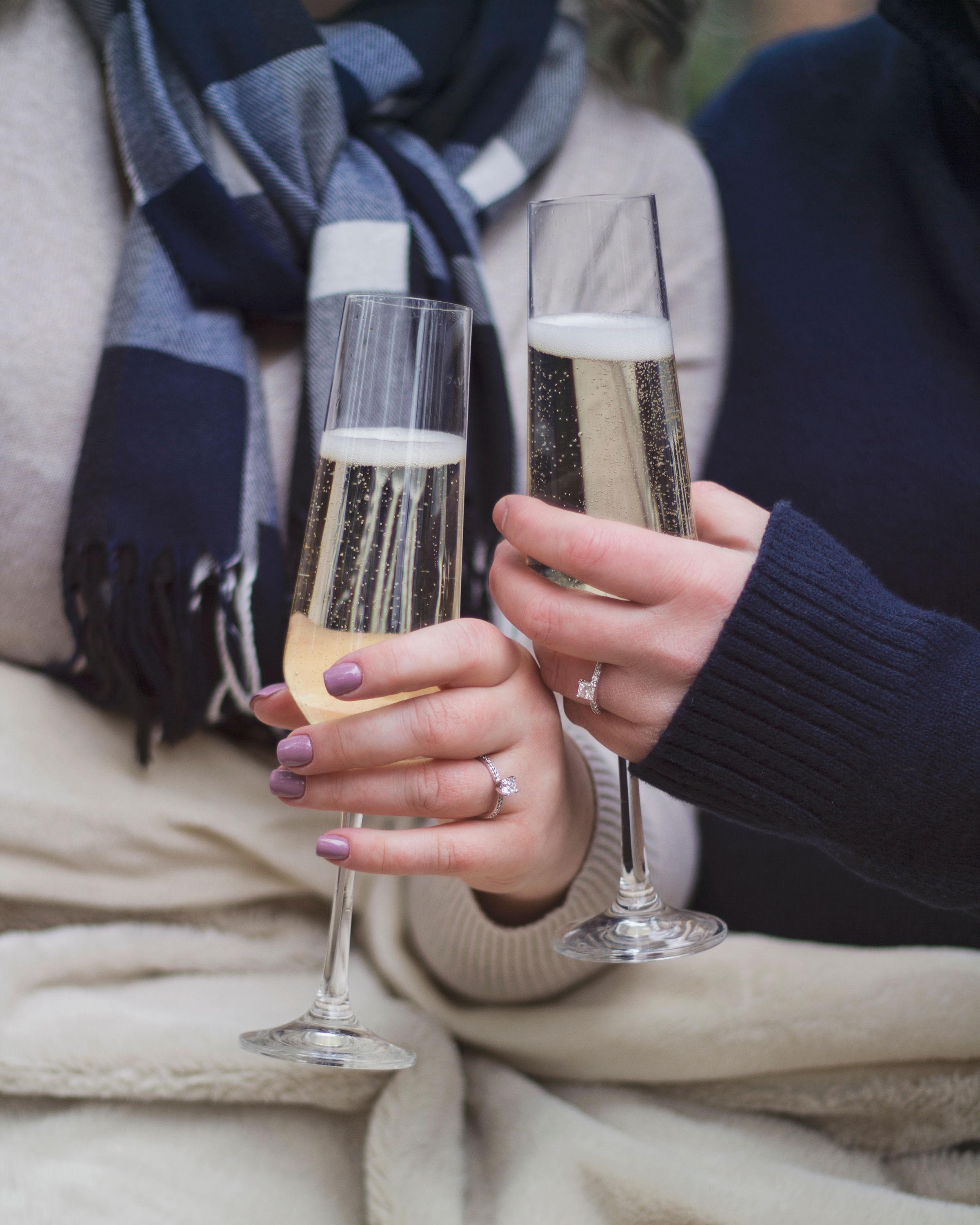 The Wedding Website of Amanda Hauer and Rachel Clonick