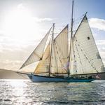 Whale Watching/Boat Tours