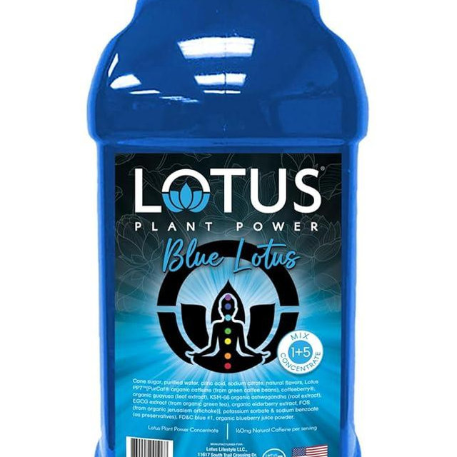 Blue Lotus Plant Energy Drink Concentrate | Pure Cane Sugar | 64 fl oz | 1:5 | Natural Caffeine from Green Coffee Bean