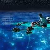 Vieques Island (Bioluminescent Bay & Beautiful, White Sandy Beaches!)