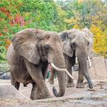 Milwaukee County Zoo