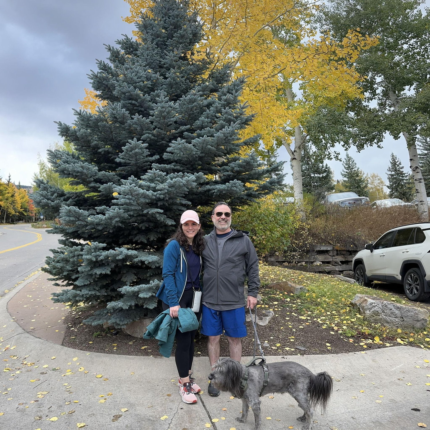 Trip with the doggies