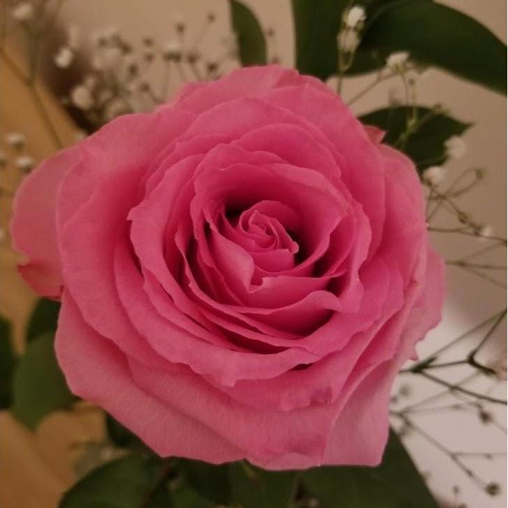 My beautiful flower T.J. got me for the first date at Whiskey Joe's Pasco County (6-27-2018)