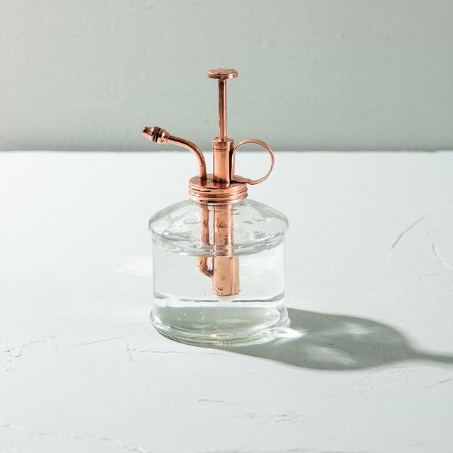 Glass Plant Mister