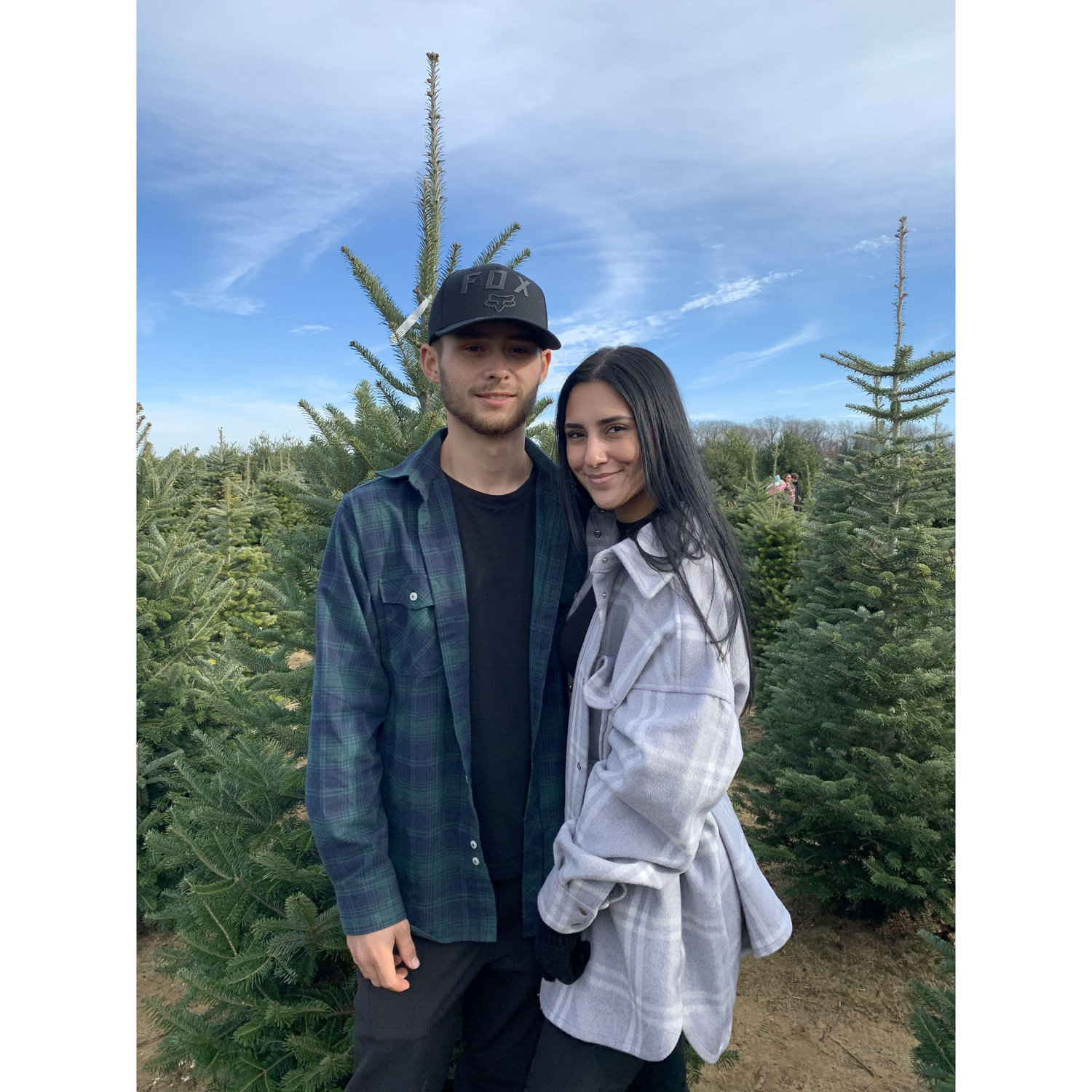 one of many Christmas tree days
