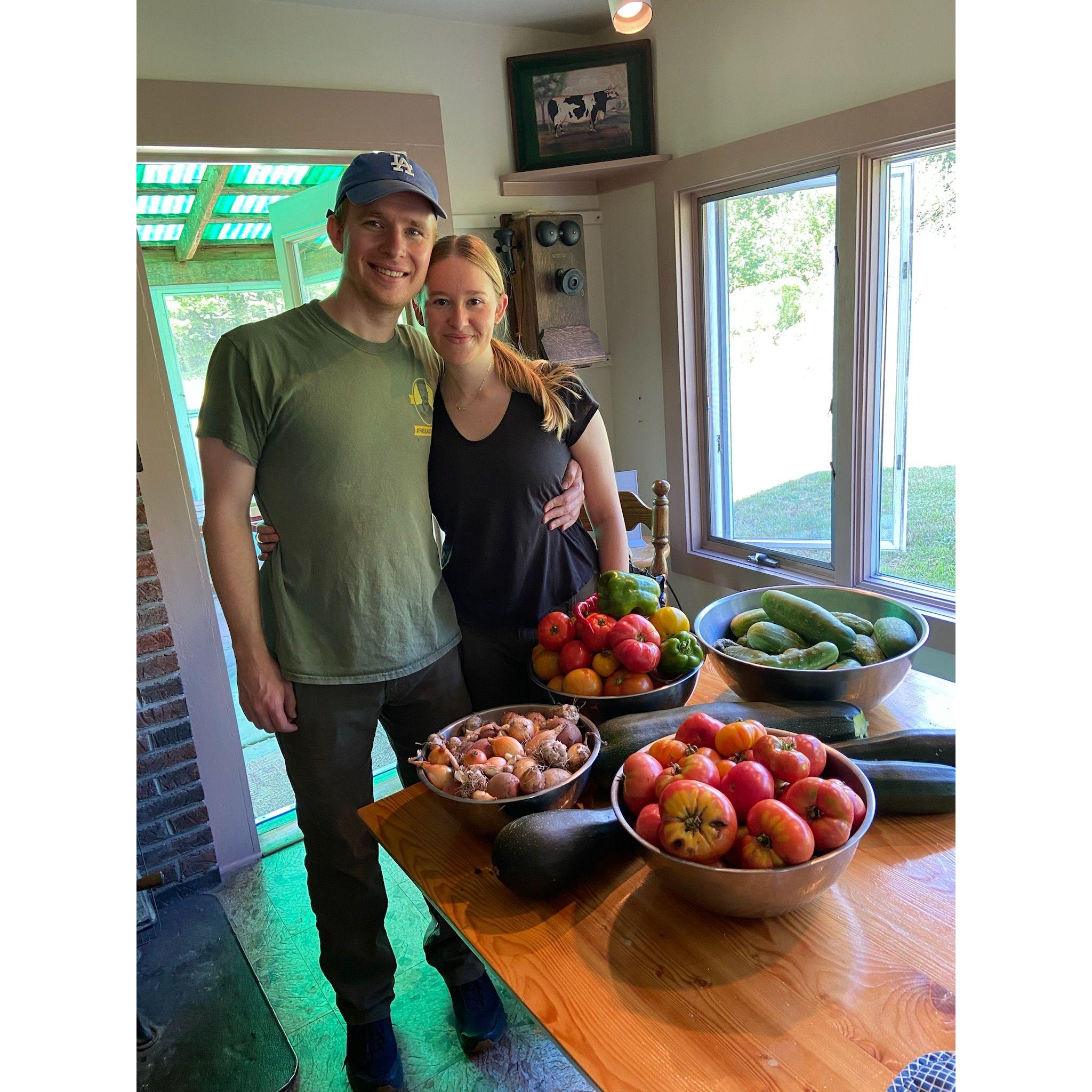 Rileyville garden yield, Summer 2022