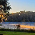 Grassy Pond
