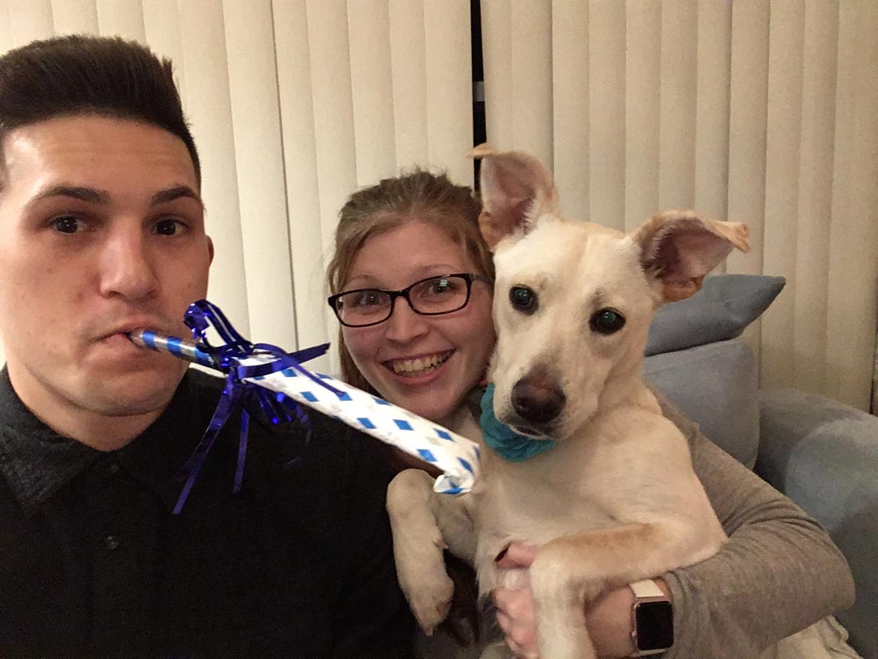 New years 2019