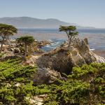 17 Mile Drive