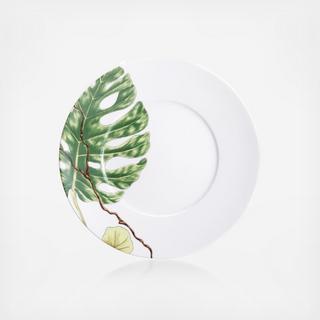 Ikebana Philodendron Dessert Plate