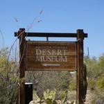 Arizona-Sonora Desert Museum