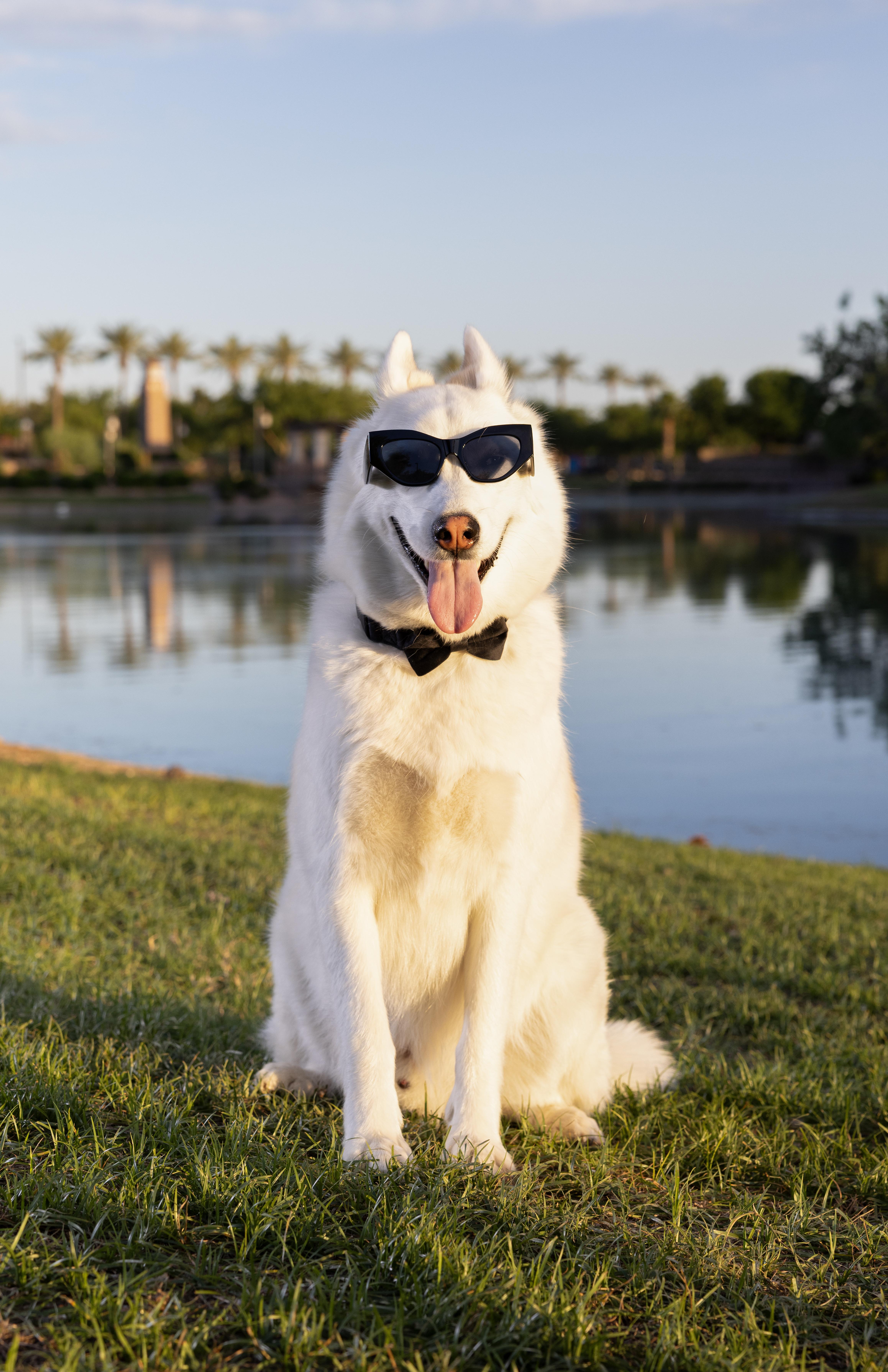 The Wedding Website of Brianna Ortega and Caleb Correa