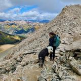 Mount Antero Hike or Drive