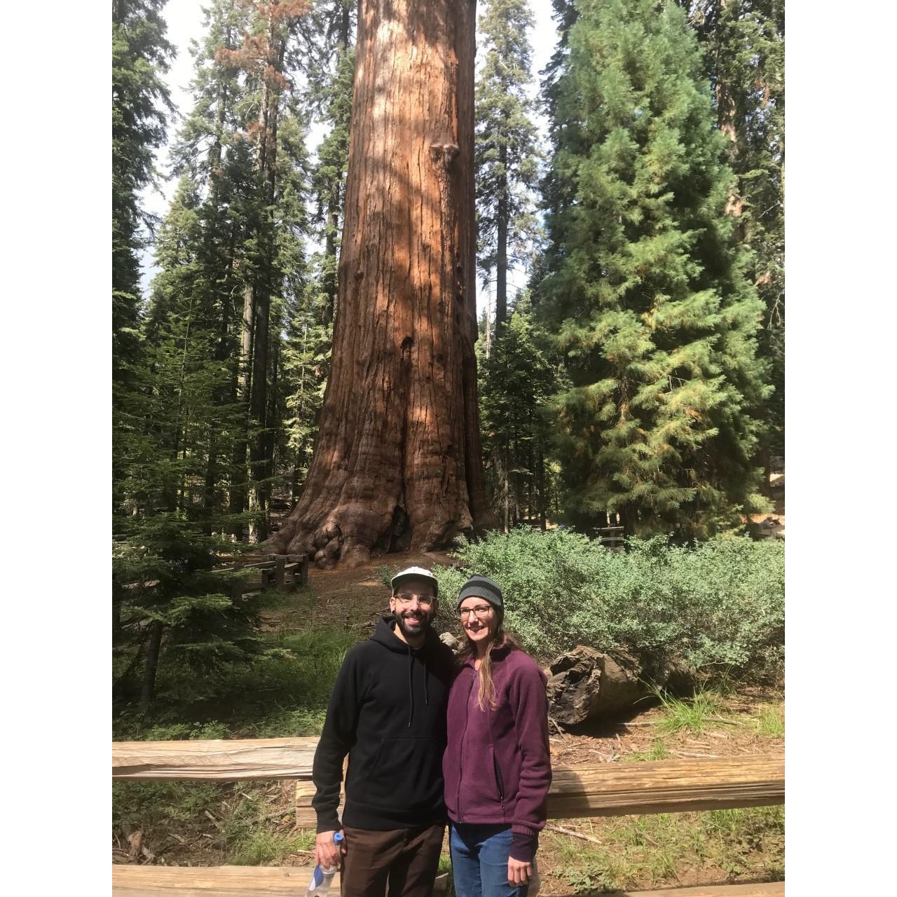 Sequoia National Park