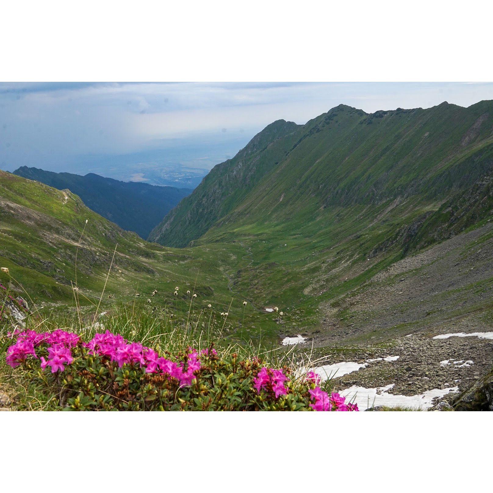 Proposal on top of Mt. Moldoveanu in Romania  (July 2, 2022)!