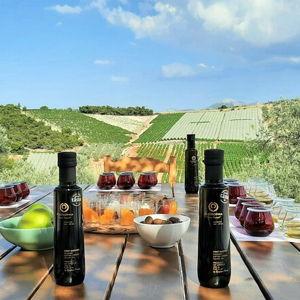 Olive Oil Farm Tour and Tasting in Greece