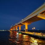 A. Max Brewer Bridge