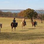 Four Fillies Farm